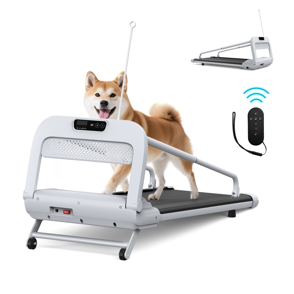 Tapis roulant intelligente per cani piccoli e medi, velocità regolabile, silenzioso