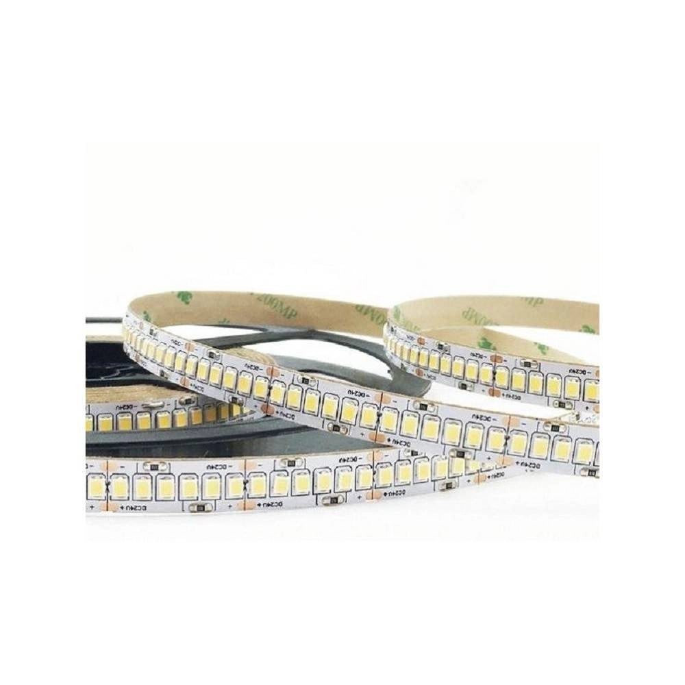 Trade Shop - Striscia Led Smd 2835 Alta Luminosità 5mt Luce 6500k 3000k 4000k 2835-24v-240 -