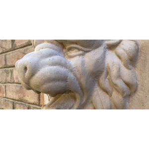 Protettivo traspirante per finitura a calce calcefresh da 5 lt