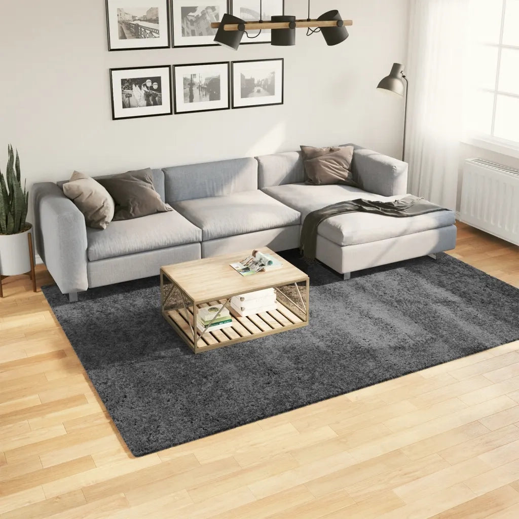 Tappeto del soggiorno | Tappeto OVIEDO a Pelo Corto Antracite 200x280 cm