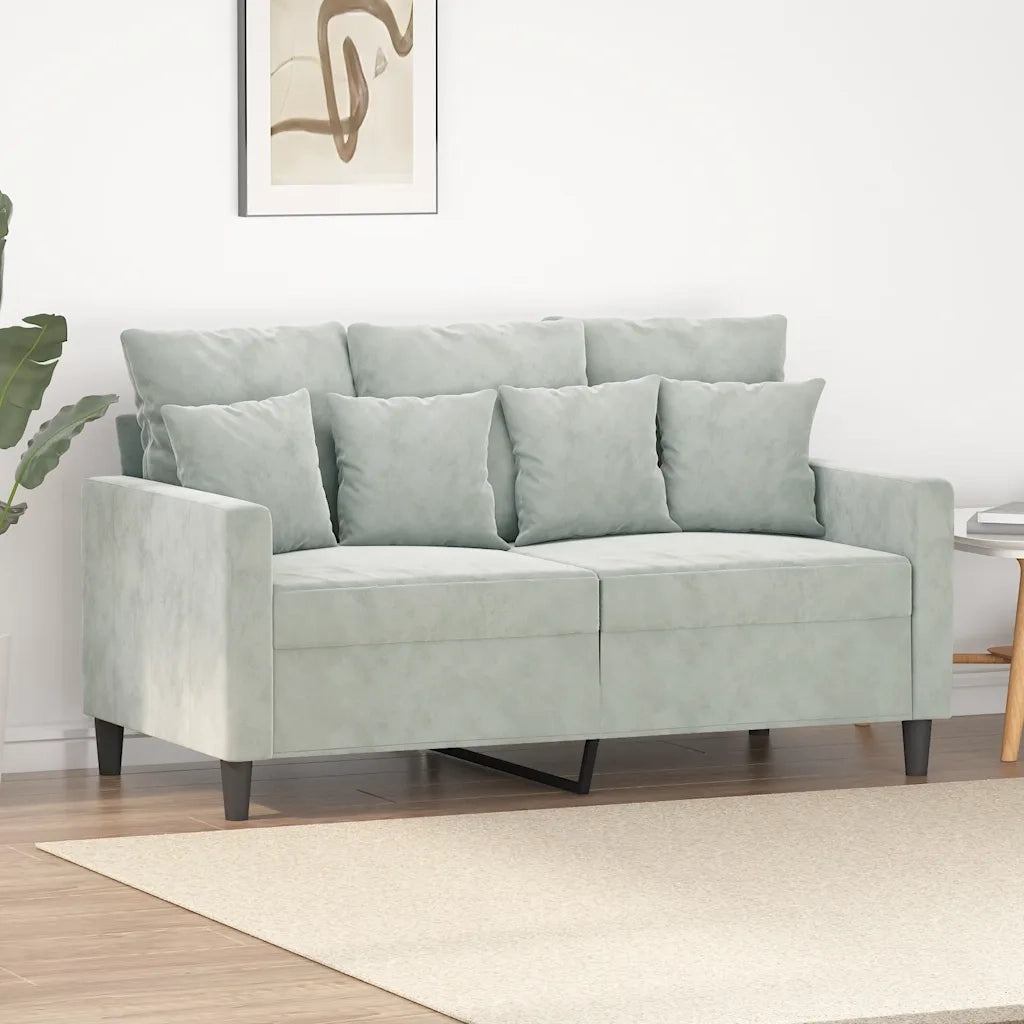 Divano | Divano da soggiorno | Sofa a 2 Posti Grigio Chiaro 120 cm in Velluto