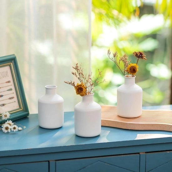 Set di Vasi di Fiori Bianchi - Mini Vasi per Fiori Secchi e Decorazione d'Arte