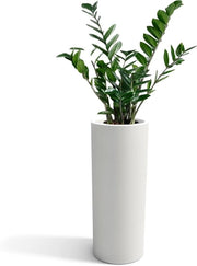 Vaso cilindrico moderno in resina, altezza 90 cm, vaso barocco per fiori in polietilene, 35 x 35 x 90 cm - profondità contenitore 26 cm, Made in Italy