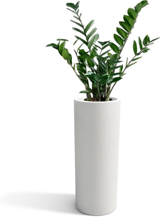 Vaso cilindrico moderno in resina, altezza 90 cm, vaso barocco per fiori in polietilene, 35 x 35 x 90 cm - profondità contenitore 26 cm, Made in Italy
