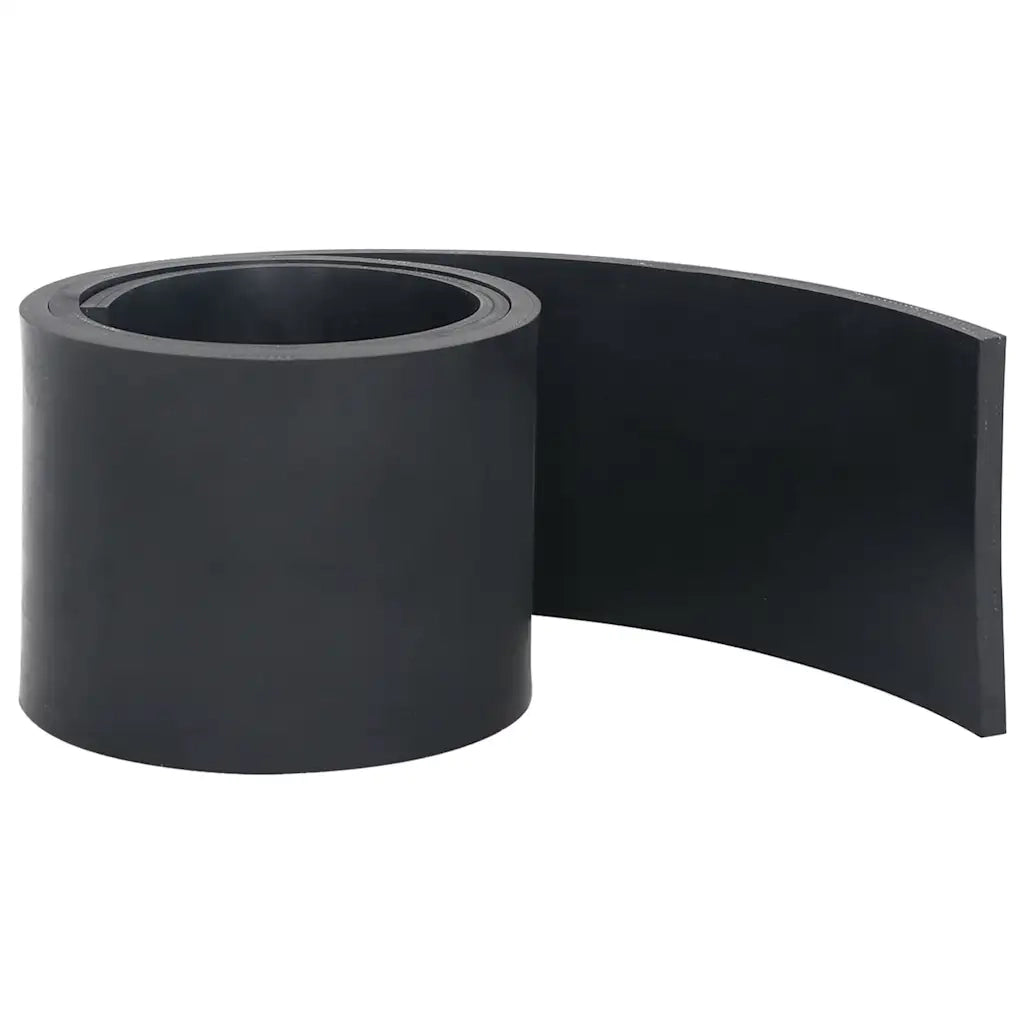 Bordo in Gomma per Spazzaneve Nero 150x15x1 cm CFW5284477