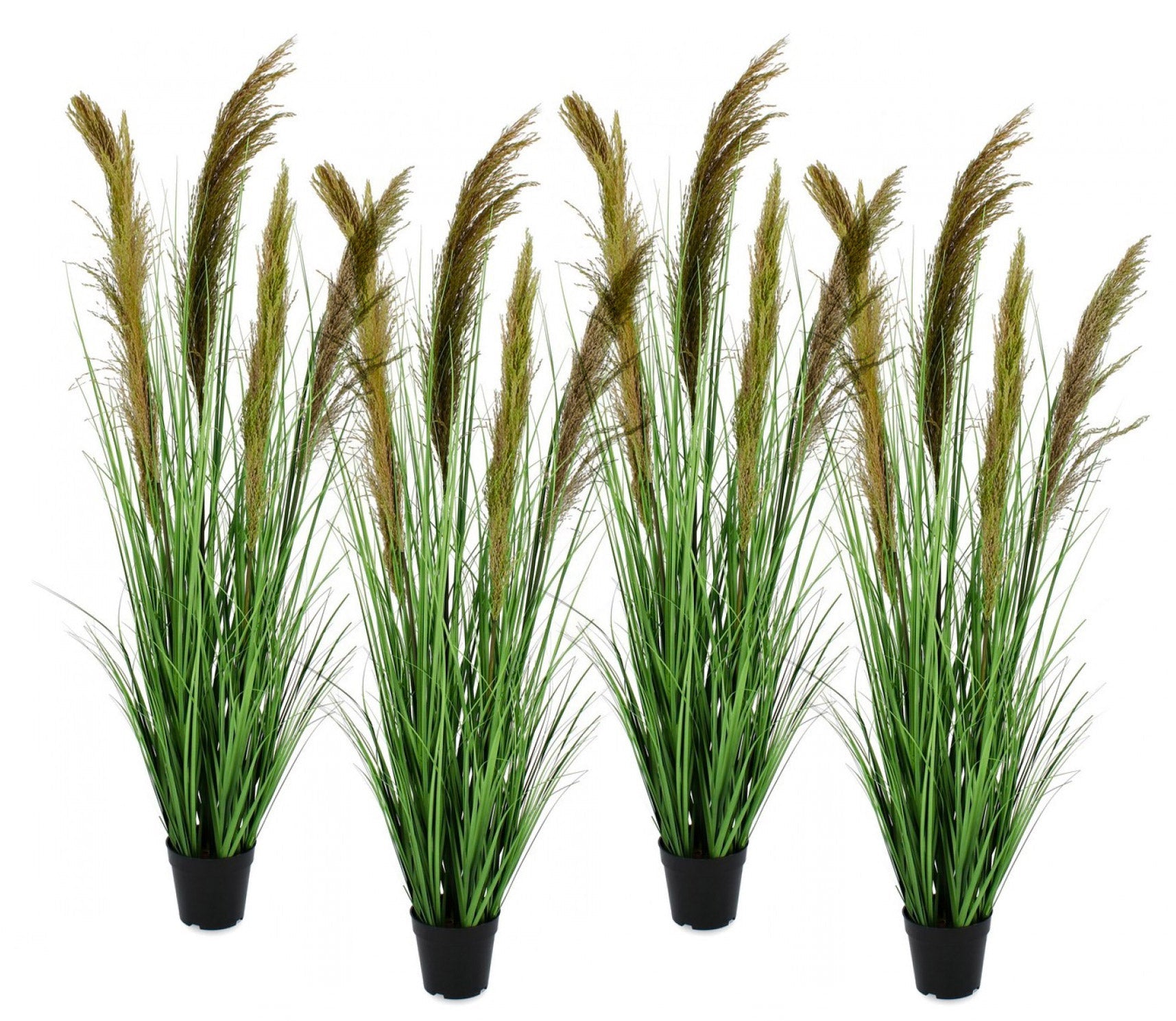 Set 4 Piante Artificiali con Vaso Ø 70x145 cm Pampas in Plastica Verde Marrone