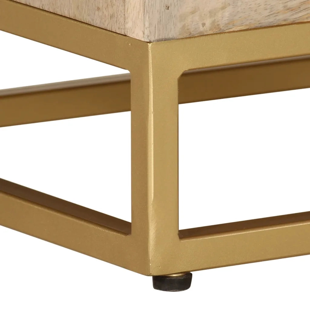 Comodino | Armadio da Notte | Mobiletto da notte 40x30x50 cm in Legno Massello di Mango e Ferro