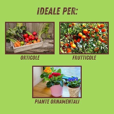 CONCIME GRANULARE NEEM SOIL VITHAL BIO KB  KG 2,5