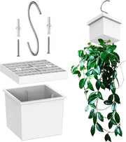 Supporto per piante - Vasi per piante appesi - Flessi per supporto di vite vere e artificiali - Supporto per piante in plastica - Vaso per fiori - Decorazione per giardino balcone - Hanger per parete