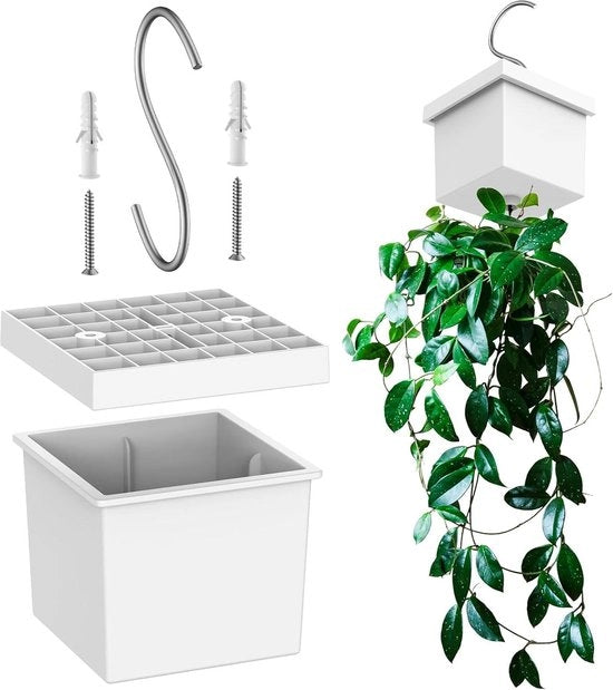 Supporto per piante - Vasi per piante appesi - Flessi per supporto di vite vere e artificiali - Supporto per piante in plastica - Vaso per fiori - Decorazione per giardino balcone - Hanger per parete