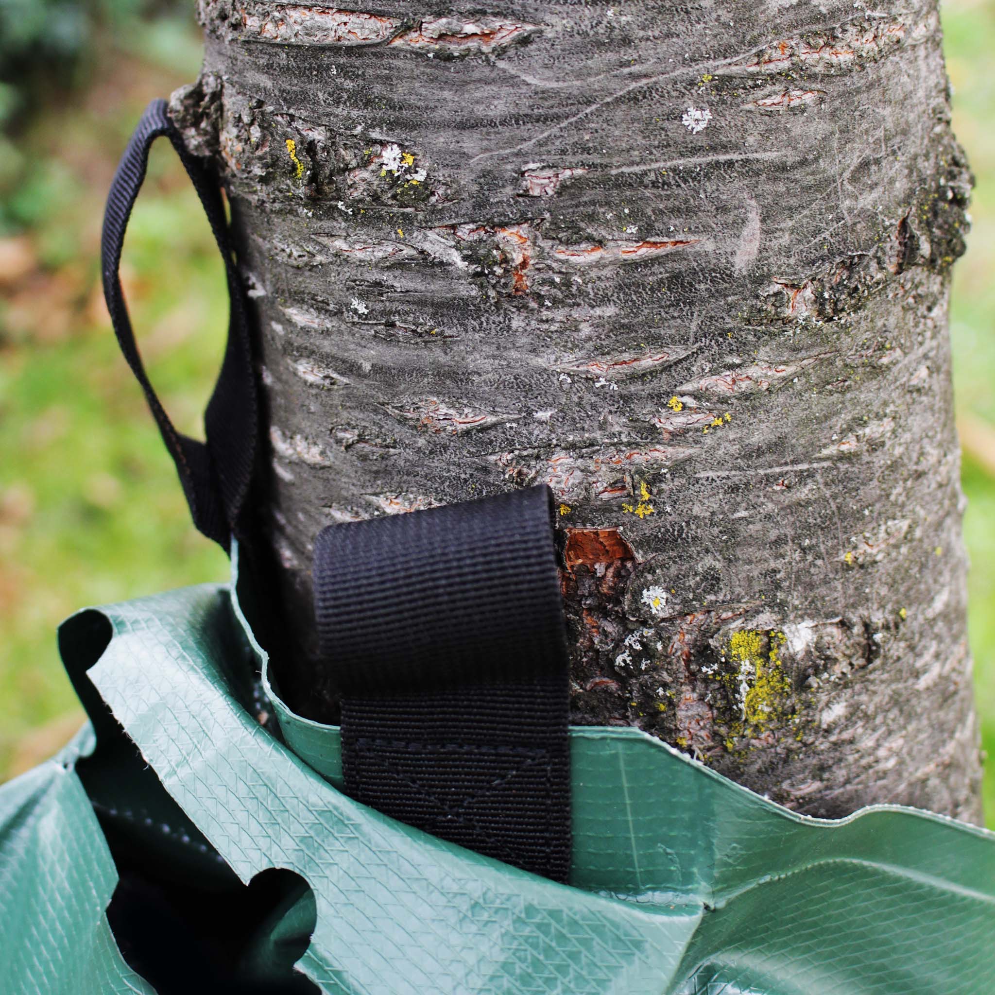 2 Sacchi per irrigare alberi 75 l in PVC, Sistema di irrigazione a goccia intorno ai tronchi