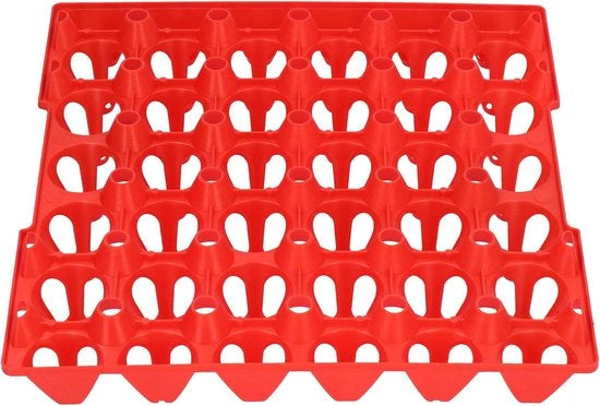 Piattaforma per uova in plastica da 30 celle - contenitore per uova - conservazione - trasporto - uso domestico - piattaforma per uova in plastica da 30 celle - adatta per - rosso