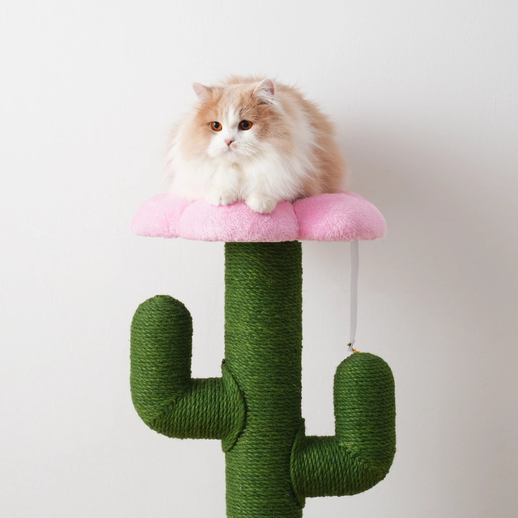 Tiragraffi a Forma di Cactus ¨C MINIMAL ¨C Verde, Sisal, 90 cm