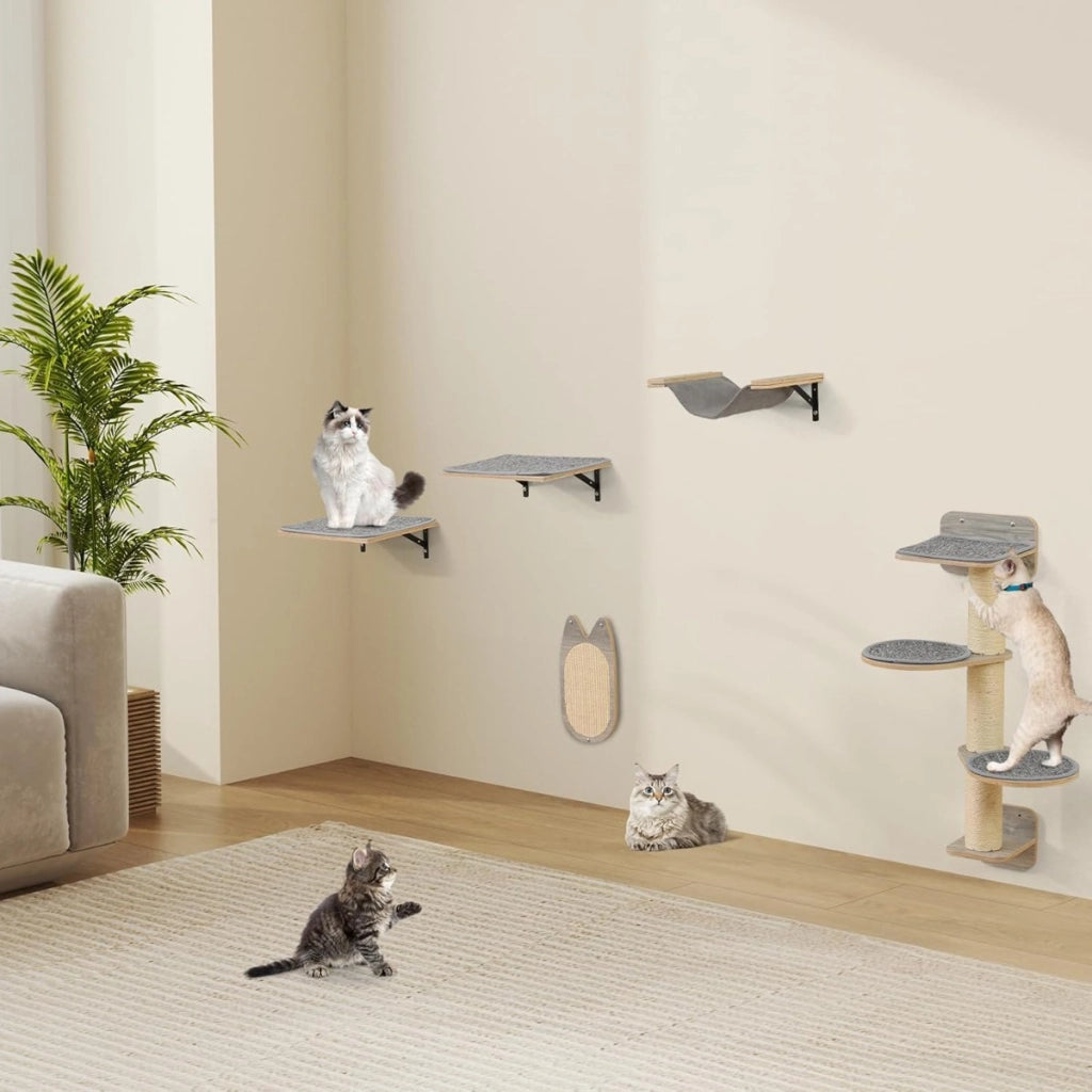Set di torre per gatti a muro salvaspazio e centro attivit¨¤ per gatti e gattini, Mobili per gatti con 4 livelli Grigio