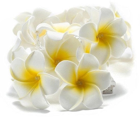 Catena di luci in rame con fiori frangipani - impermeabile - adatta a matrimoni e feste - illuminazione LED - camera da letto e balcone