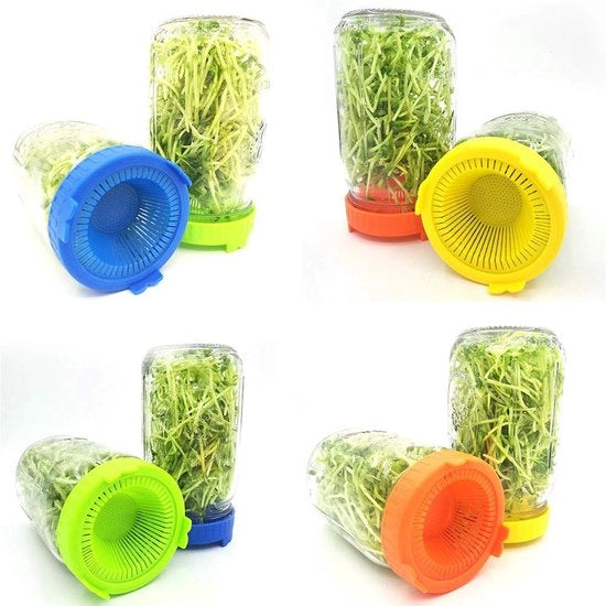Kit di propagazione per micro verdure - 4 pezzi - Trappole per semi per vasi a largo orlo - Set di crescita per semi sani - Drenaggio completo e stabilità - Trappola per semi