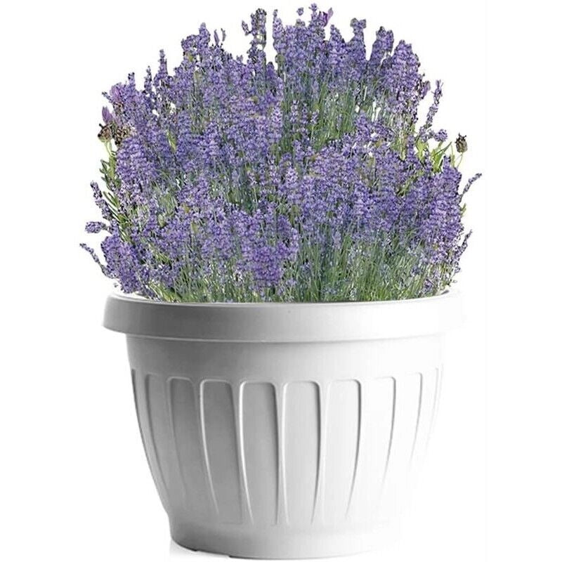 BAMA VASO DA TERRA IN PLASTICA ROTONDO 40 CM COLORE BIANCO