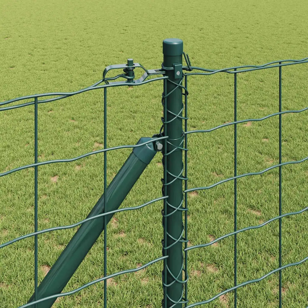 Recinzione con Posto Verde 1,2 x 25 m Acciaio