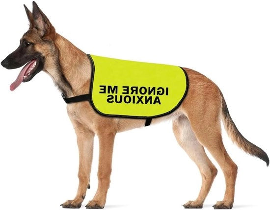 Vest di Protezione per Cani Ansiosi e Reattivi - Casco di Sicurezza Visibile per Cani in Pericolo - Regalo per Cani Ansiosi - Taglia Large