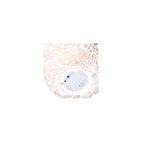 Babbo natale led resina con renna e pupazzo cm 27,5x20h48