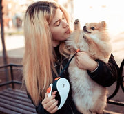 Raccordo per cani - lunga cintura retrattile per cani, cintura retrattile per cani, cintura retrattile per cani, cintura retrattile per passeggiate M (Pack of 1), 5 m