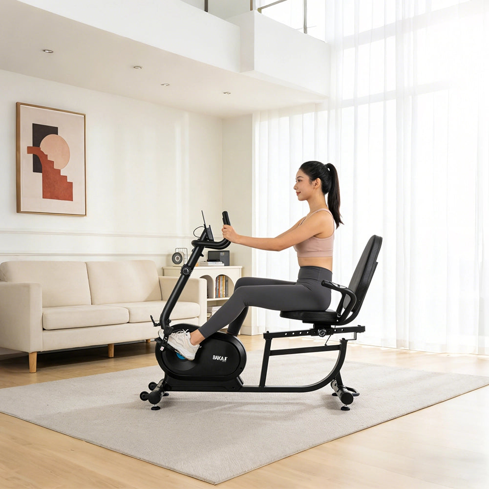 Cyclette Magnetica da Casa Bici da Allenamento Fitness con Sedile Regolabile