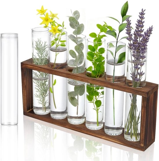 Set di 7 flaconi trasparenti, 30 x 150 mm, flaconi di vetro, flaconi per reazioni, contenitori per fiori, flaconi con manico standard, decorazione per cucina, liquidi per uso personale, per uso in casa, per il giardinaggio.