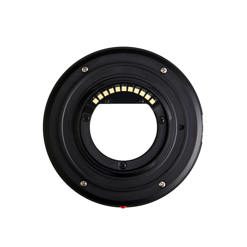 Kipon AF Adattatore per Canon EF a MFT senza supporto