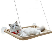 Hangmat per finestra per gatti - 35*55cm - per gatti per sedersi - hangmat per animali domestici con attacco a muro - comoda, duratura, solida, grande superficie - nido per gatti per quattro stagioni - nido per gatti appeso con attacco a muro