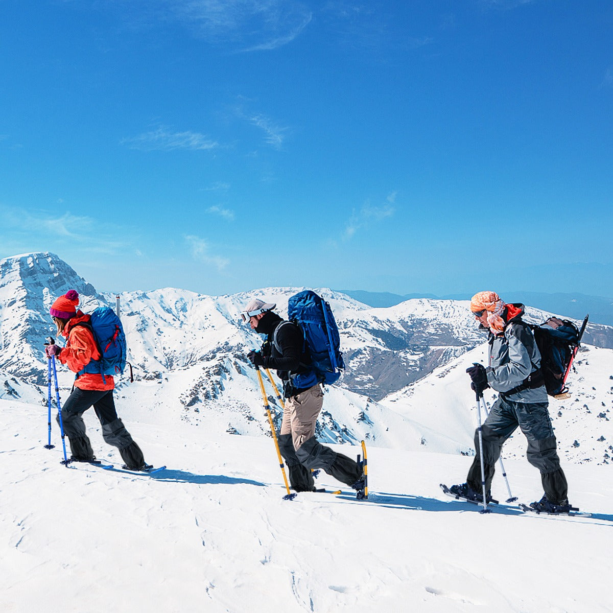 Bastoncini da trekking e borsa per trasporto per uomini telaio in alluminio, Set di racchette da neve con sistema 78 cm Argento-Campeggio e Trekking