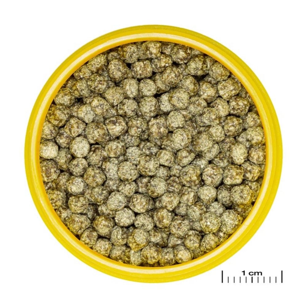 JBL ProNovo Red Grano M - Mangime base in granuli per tutti i pesci rossi da 8 a 20cm Formato: 250 ml