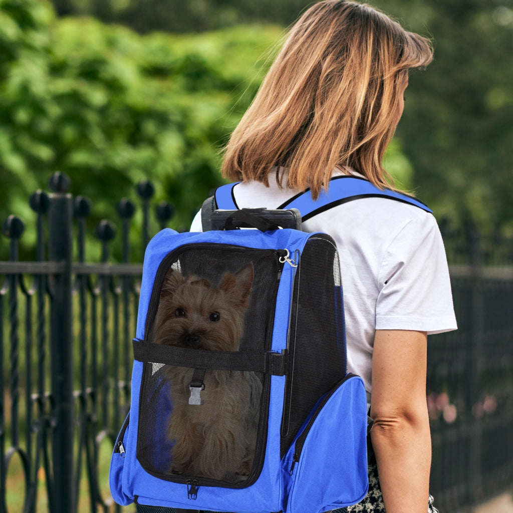 Trasportino per Mascote 2 in 1 ¨C Zephmum ¨C Blu 42x25x55 cm