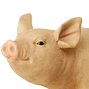 Maiale in Piedi in Resina H 40 cm