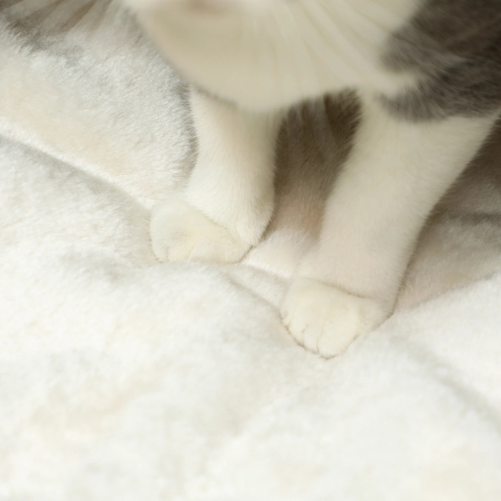 Cuccia per gatti con cuscino morbido in vimini ¨C Xylo ¨C 45x41x37 cm marrone