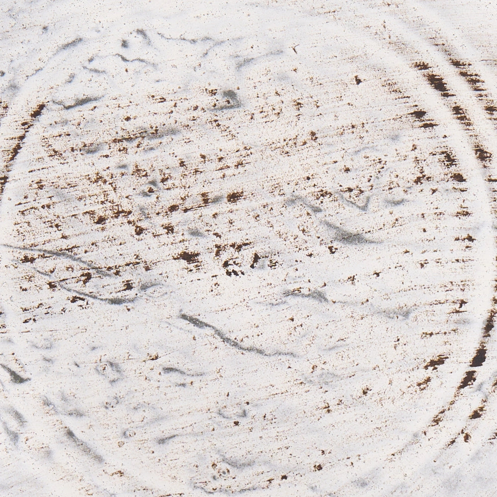 Fioriera a Forma di Carriola Bianco Sporco in Ferro 58 x 35 x 31 cm con Supporto Portavaso per Interni ed Esterni