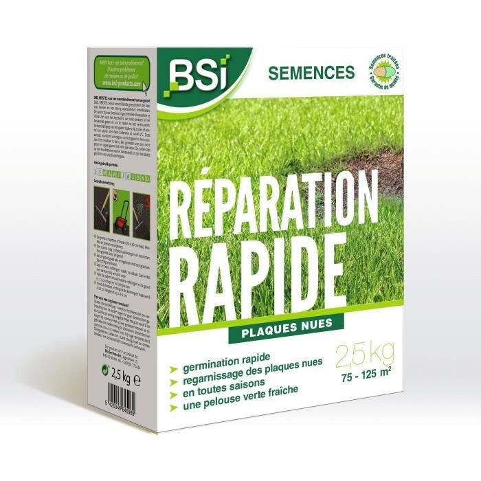 BSI - Semi d'erba - Riparazione rapida - Con rivestimento protettivo - Alta qualità - Fino a 125 m - 2,5 kg