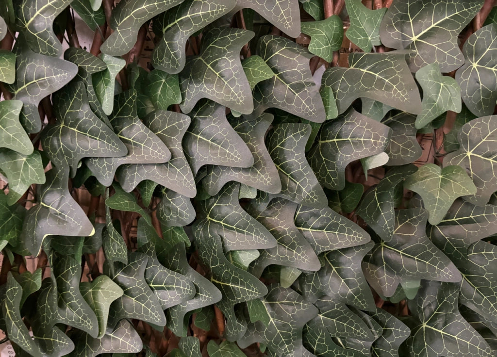Traliccio Edera Rampicante Verde Frangivista Recinzione Giardino Balcone 1x2mt