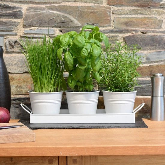 Bacino per piante - Bacino per piante di erbe Cassetto per erbe Coltivazione erbe fresche a casa Soggiorno Finestra Cucina Basilico Menta Prezzemolo Fiori - Materiale Metallo Bianco