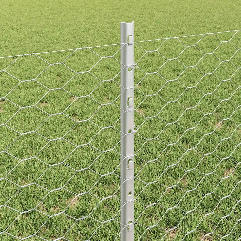 Recinzione da Giardino | Recinzione con Posto Argento