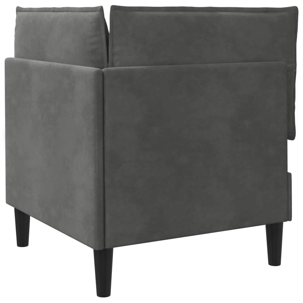Divano | Divano da soggiorno | Sofa con Stoccaggio Grigio Scuro Velluto