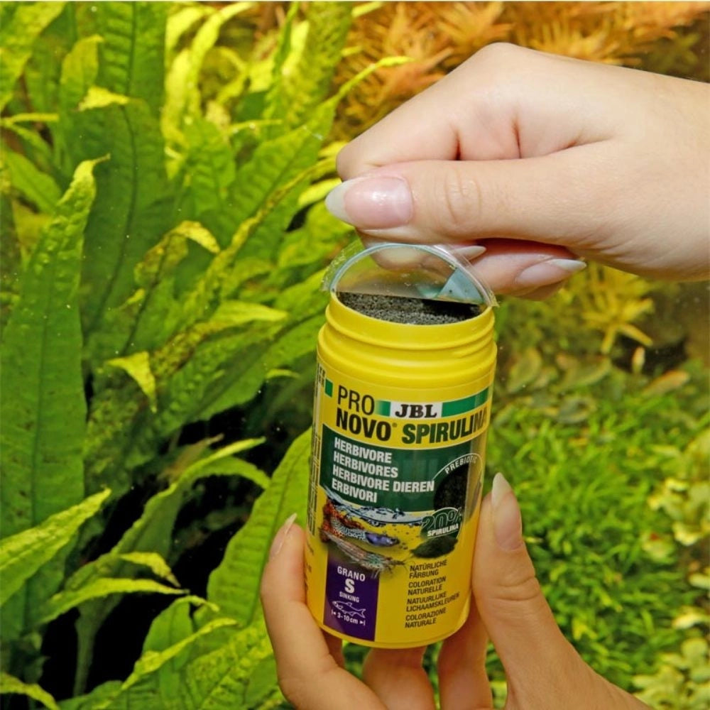JBL ProNovo Spirulina Grano S 100ml - granuli vegetali con spirulina per gamberetti e tutti i pesci d'acquario da 3 a 10cm