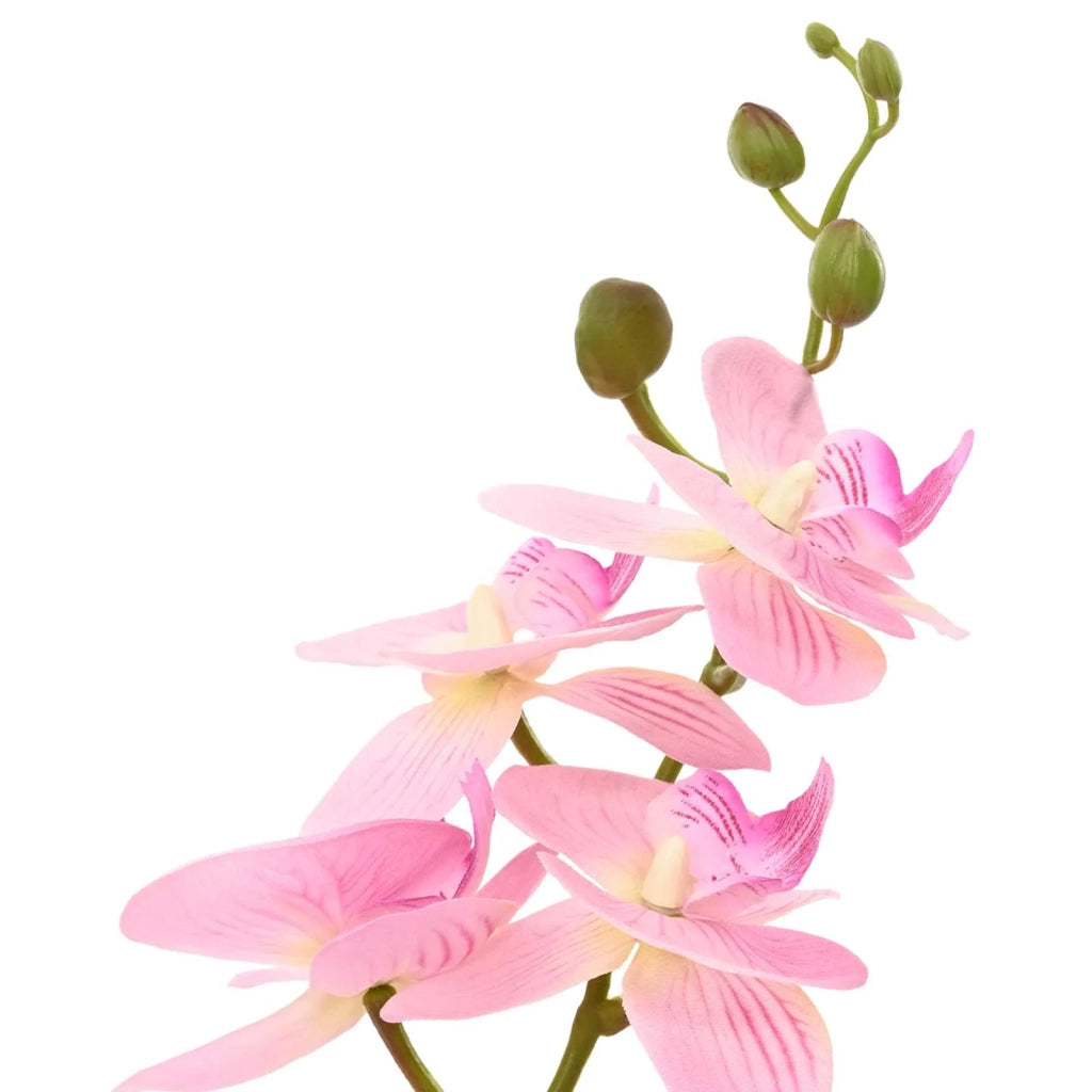 Pianta di Orchidea Artificiale con Vaso Rosa 45 x 15 x 65 cm CFW3656301