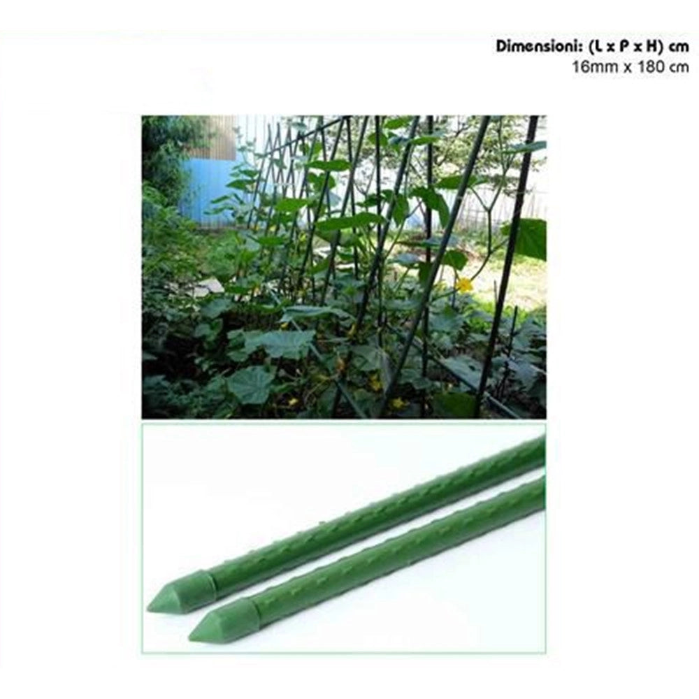 Trade Shop - Set 25 Pali Tutori Canna Per Sostegno Piante Rampicanti Pomodori H180cm ø16mm Grn21 013196 -