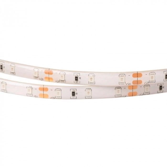 Striscia LED 5m rossa 4,8W/m 12V IP63 dimmer Ecolight