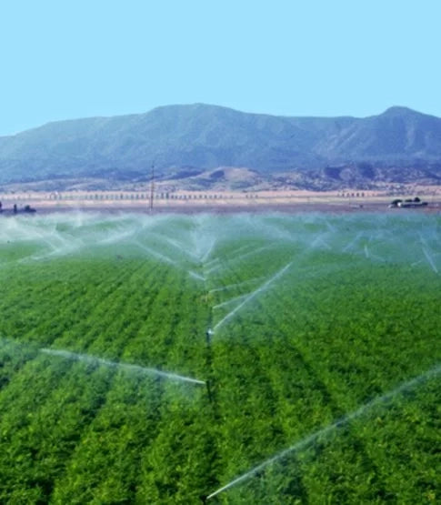IRRIGATORE A SETTORE IDEAL STAR 'RAIN' 1 F - IDEAL STAR