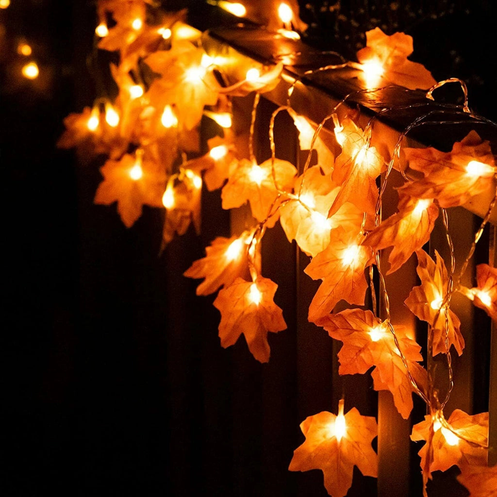 CATENA GHIRLANDA LUMINOSA 2 METRI 10 LED HALLOWEEN A BATTERIA AUTUNNO LUCI