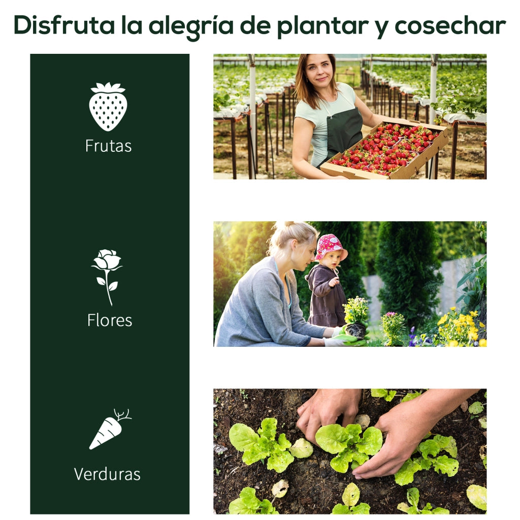 Serra da Giardino 200x100x80 cm ¨C Xylo ¨C Struttura Acciaio e Copertura PVC Trasparente per Piante