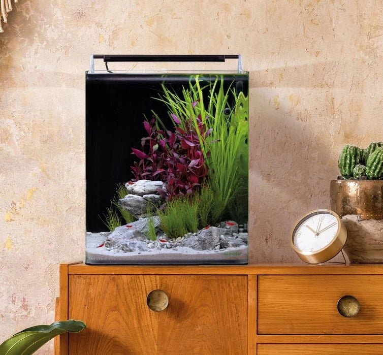 Dennerle Nano Cube Basic 30L - Mini acquario panoramico cm30x30x35h con filtro e LED