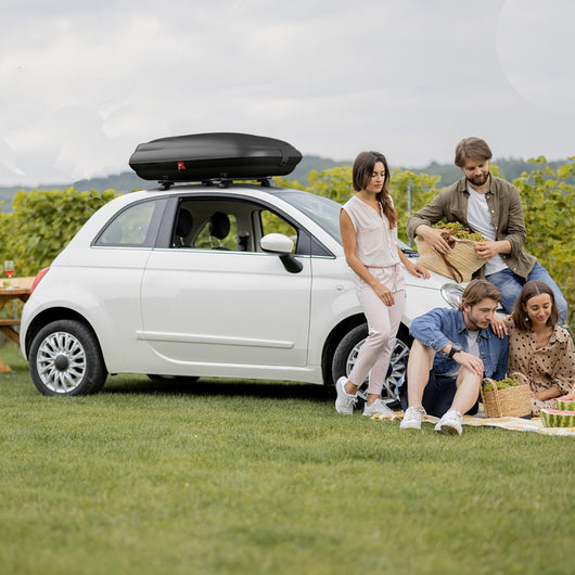 Portapacchi per tetto con chiavi e cinghie apertura lato, Portapacchi per tetto da viaggio per auto Nero-Accessori per veicoli