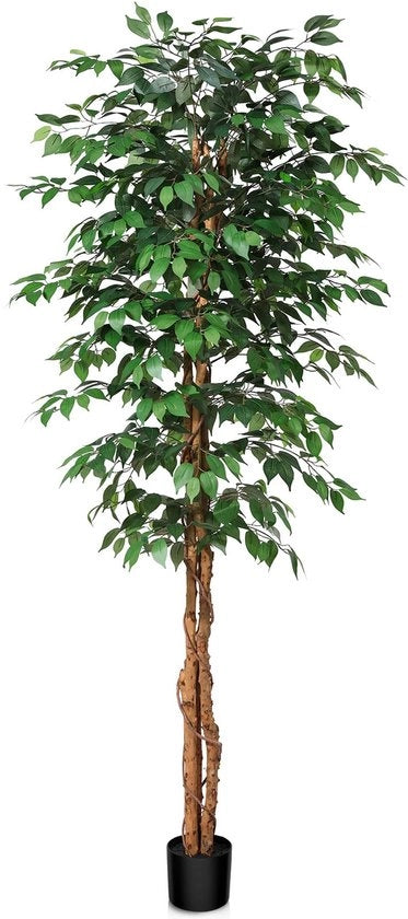 Ficus Artificiale 210 cm - Pianta Artificiale con Tronco di Legno Naturale, Grande Pianta Artificiale per Ufficio, Casa, Decorazione Interna ed Esterna, 1 Pacchetto